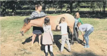  ??  ?? Sessions can include grooming horses or hugging them.