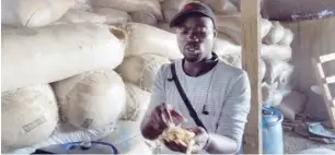  ??  ?? Mr. Ogbeide Peter, the Farm Manager, displays some tamarind in the store house