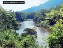  ??  ?? A view of the Kelani River.