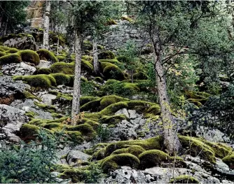  ??  ?? The Yanzhishan National Forest Park.