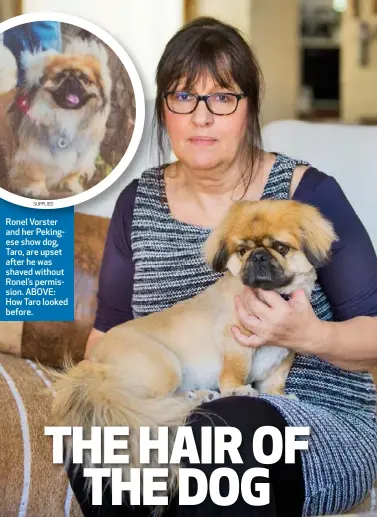  ??  ?? Ronel Vorster and her Pekingese show dog, Taro, are upset after he was shaved without Ronel’s permission. ABOVE: How Taro looked before.
