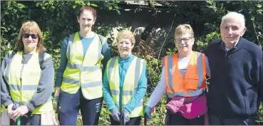  ?? (Pic: John Ahern) ?? LEFT: GOOD MAN JOHN: Local resident, John Frewen, doing his bit for the cause during last Saturday morning’s spring clean in Ballyduff. (Pic: John Ahern)
TEAM EFFORT: Former businessma­n, Pat Flynn, pictured with TidyTowns volunteers at last Saturday morning’s spring clean in Ballyduff, l-r: Mary Walsh, Agnes O’Donoghue, Tess Morrison and Marian Mills.