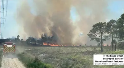  ?? Dorset & Wiltshire Fire & Rescue Service ?? > The blaze which destroyed parts of Wareham Forest last year