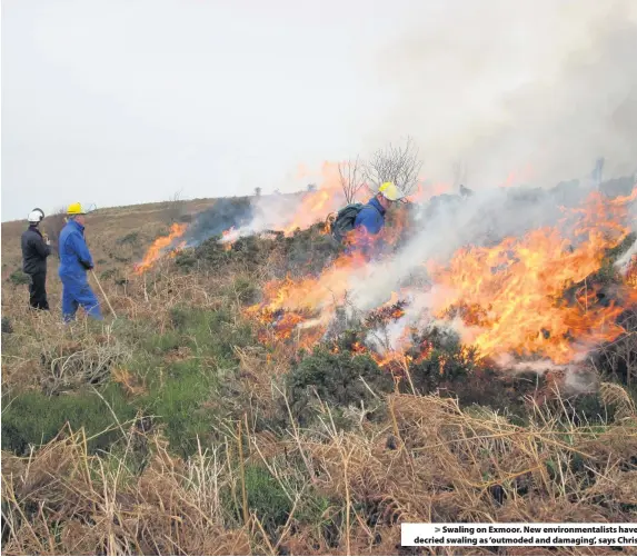  ??  ?? Swaling on Exmoor. New environmen­talists have decried swaling as ‘outmoded and damaging’, says Chris