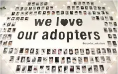  ??  ?? A heart-shaped display shows the cats that have been adopted from Crumbs &amp; Whiskers.