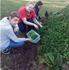  ?? Foto: Helga Mohm ?? Beim Stammtisch in der Matrix gab es Kräuter und veganes Fingerfood zum guten Gespräch.