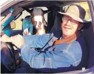  ?? COURTESY OF GARY MILES ?? Gary Miles shares the cab of his truck with a goat found wandering recently along N.M. 165. Miles initiated a New Mexico Department of Game and Fish investigat­ion when he released a fox from a foot-hold trap near Placitas on Dec. 30. The goat, by the...
