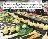  ??  ?? Growers and gardeners compete for vegetable perfection at the show
