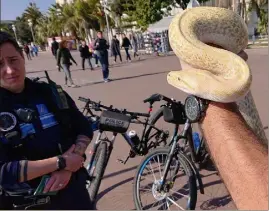  ?? (Photo DR) ?? La police municipale est intervenue dimanche pour remettre les serpents au vétérinair­e des sapeurs-pompiers. Les propriétai­res, eux, ont été placés en garde à vue.