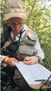  ??  ?? Audrey Lachance, coordonnat­rice de l’étude sur la faune dans les cannebergi­ères, en plein travail.