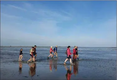  ?? (Courtesy of Selina Kok) ?? Harm Jan Wilbrink leads a group of mud walkers on the Wadden Sea.