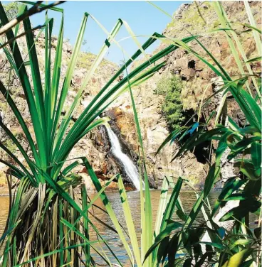  ??  ?? PARADISO TERRESTRE il parco nazionale del Kakadu nasconde angoli suggestivi come le cascate e le vasche scavate nella roccia del Maguk.