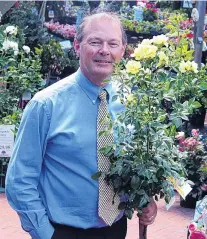  ??  ?? Taller option . . . Anthony Tesselaar with a Carpet Rose grown as a standard.