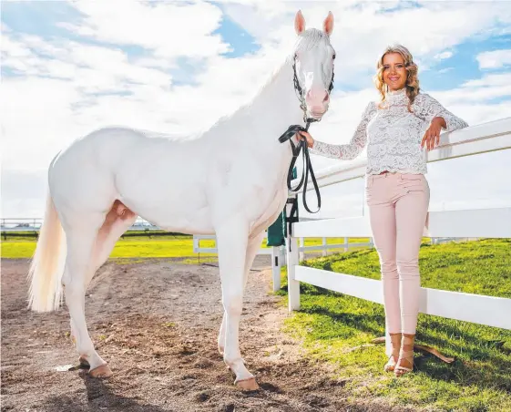  ?? Picture: MARK STEWART ?? Jacqui Librio with Ciaron Maher’s striking white colt who will be trained to make his racing debut in the middle of next year.