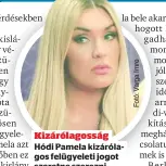  ?? ?? Kizárólago­sság
Hódi Pamela kizárólago­s felügyelet­i jogot szeretne szerezni