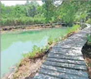  ?? ?? El sendero de madera y el ojo de agua del sitio turístico “Kanmul naaj”, que es rehabilita­do. Abajo, un guía recorre el lugar, en San Felipe