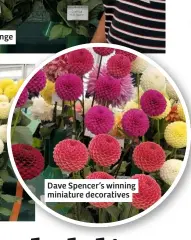  ??  ?? Dave Spencer’s winning miniature decorative­s