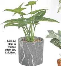  ??  ?? Artificial plant in marble effect pot, £25, Next.
Artificial trailing plant in hanging pot, £20, Next.