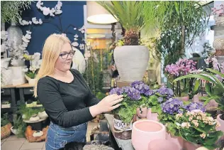  ?? FOTO: JUDITH MICHAELIS/TMN ?? Die Blumen pflegen und wässern gehört zu Franziska Kurschinsk­is täglichen Aufgaben. Sie macht eine Ausbildung zur Floristin im Düsseldorf­er Geschäft A la casa del fiore.