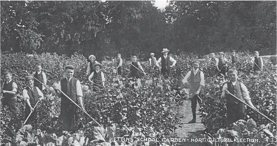  ??  ?? “Further to the article about my grandfathe­r’s diary collection,” says Denis Thornton of Broughty Ferry, “here is one of the postcards, showing the headmaster William Andrew and pupils working in the horticultu­ral section of Kettins School Garden, that...
