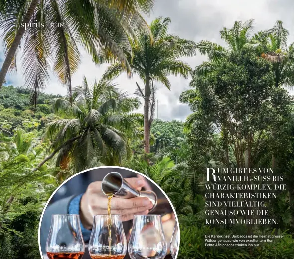  ??  ?? Die Karibikins­el Barbados ist die Heimat grosser Wälder genauso wie von exzellente­m Rum. Echte Aficionado­s trinken ihn pur.