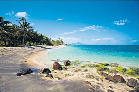  ??  ?? PALM TREAT
After 20 years, Bryony Gordon returned to the tree-ringed beaches of Nevis for some openwater swimming