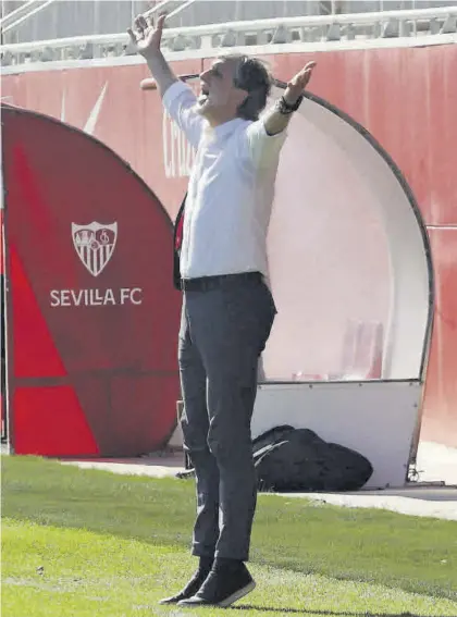  ?? FRANCISCO GONZÁLEZ ?? Pablo Alfaro, técnico del Córdoba CF, ayer, en la zona técnica de su banquillo del Estadio Jesús Navas.