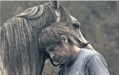  ?? Foto: Lola Maurer ?? Pferdevers­teher Marc Plana hat ein inniges Verhältnis zu den Tieren.