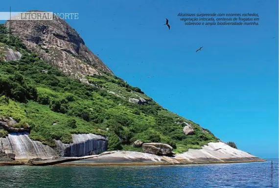  ??  ?? Alcatrazes surpreende com enormes rochedos, vegetação intocada, centenas de fragatas em sobrevoo e ampla biodiversi­dade marinha.