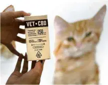  ?? Lucy Nicholson/Reuters ?? Vendedora exibe tintura de cânabis com CBD concentrad­o para tratar animais de estimação