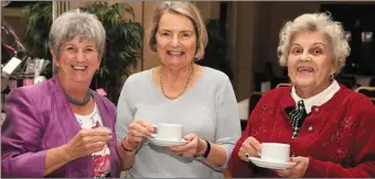  ??  ?? At the hospice morning at Laytown/Bettystown GC were Freeda McGrane, Jill Daly and Patsy Stack.