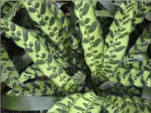  ??  ?? The patterned leaves of Calathea roseopicta.