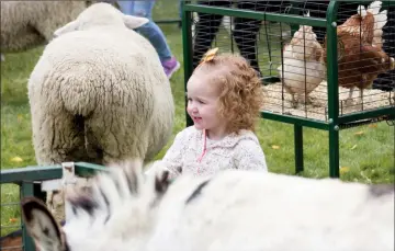  ?? Herald photo by Greg Bobinec ?? Lottie Biggs gets excited over the farm animals in the petting zoo, at the Lethbridge College Coulee Fest, Saturday.