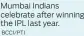  ?? BCCI/PTI ?? Mumbai Indians celebrate after winning the IPL last year.