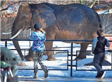  ?? MARK HOFFMAN / MILWAUKEE JOURNAL SENTINEL ?? Children watch an African elephant amble around Monday at the Milwaukee County Zoo in Wauwatosa. The zoo is offering free admission to all visitors until Friday.