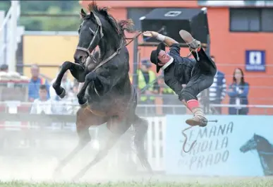  ?? MATILDE CAMPODONIC­O / ASSOCIATED PRESS ?? A gaucho is thrown off a wild horse during the Criolla del Prado rodeo in Montevideo, Uruguay, on Wednesday. During the Easter celebratio­ns, the city organizes the rodeo to reward the best horse riders.