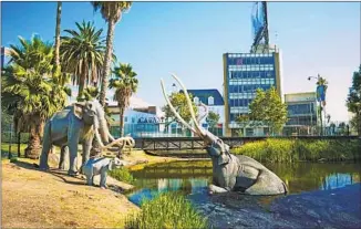  ?? Mario de Lopez La Brea tar pits ?? THE LA BREA tar pits initially were not considered in LACMA’s new building design.