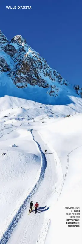  ??  ?? I nuovi tracciati
di skialp sono nati per
favorire la convivenza di discesisti edi
scialpinis­ti.