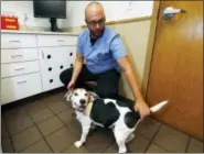  ?? DAVID ZALUBOWSKI — THE ASSOCIATED PRESS ?? In this Monday photo, Luke Byerly tends to his 14-yearold beagle, Robbie, during a break at Byerly’s job as a technician at a veterinary clinic in east Denver. Byerly is using CBD, a non-psychoacti­ve component of marijuana, oil to treat the dog’s...