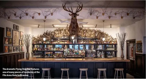  ??  ?? The dramatic Flying Stag Bar features one of many pieces of taxidermy at the Fife Arms Hotel in Braemar