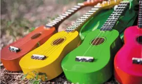  ?? ?? The ukulele is employed by diverse performers including 60s curiosity Tiny Tim, Hawaiian favourite don Ho and Pearl Jam’s eddie Vedder. — dreamstime/tns