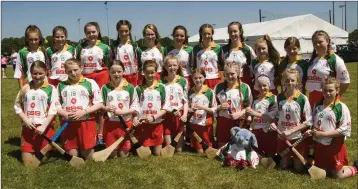  ??  ?? The Kiltegan camogie team.