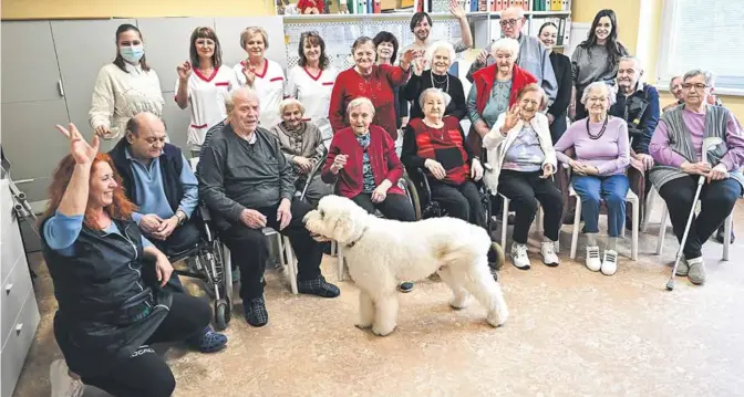  ?? ?? Na pravidelnú pomoc zameral svoje projekty aj Lidl Slovenská republika. Potraviny odovzdáva v Domove pre seniorov Klas, Vrbové aj s canisterap­eutkou.
FOTO: Martina Mlčúchová