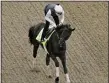  ?? CHARLIE RIEDEL — THE ASSOCIATED PRESS ?? Kentucky Derby entrant Zandon works out at Churchill Downs Thursday, in Louisville, Ky. The 148th running of the Kentucky Derby is scheduled for Saturday.