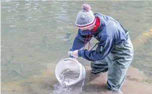  ??  ?? Braedan Donaldson with Goldstream Hatchery releases salmon fry into Mary Lake as part of a project with the Greater Victoria Greenbelt Society.