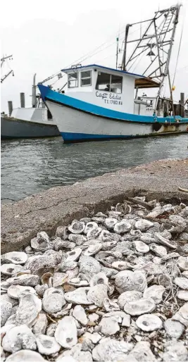  ?? William Luther / Staff photograph­er ?? Commercial oyster boats are docked in Fulton on May 8, days after the close of the wild oyster season. A bill may open the Texas coast to oyster farming.