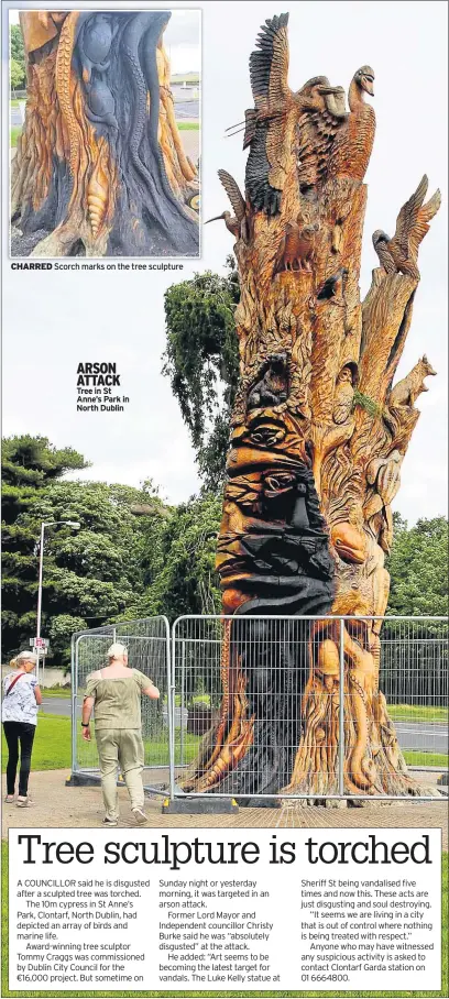  ??  ?? CHARRED
ARSON ATTACK Tree in St Anne’s Park in North Dublin