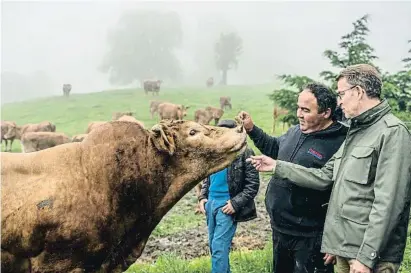  ?? ROMÁN G. AGUILERA / EFE ?? Alberto Núñez Feijoó visitó ayer la ganadería El Cerrillo, en Ruesga (Cantabria)