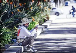  ?? ANJALI SHARIF-PAUL — STAFF PHOTOGRAPH­ER ?? A taste of paradise: A man rests during a sunny afternoon outside the Pomona Public Library in Pomona surrounded by Bird of Paradise plants.more rain is expected around the region on Monday through Wednesday.