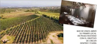  ??  ?? VISTA DEL VIÑEDO DE LA COMPAÑÍA URUGUAYA DE VINOS DE MAR. BAR DE VINOS ABRIÓ SU PRIMER LOCAL EN PASEO ROSTAND CON EL OBJETIVO DE CRECER DENTRO Y FUERA DE FRONTERAS.